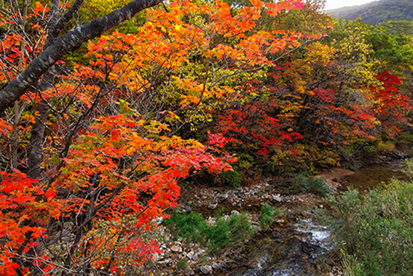 점봉산